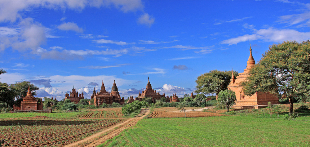 ein Feldweg in Bagan....