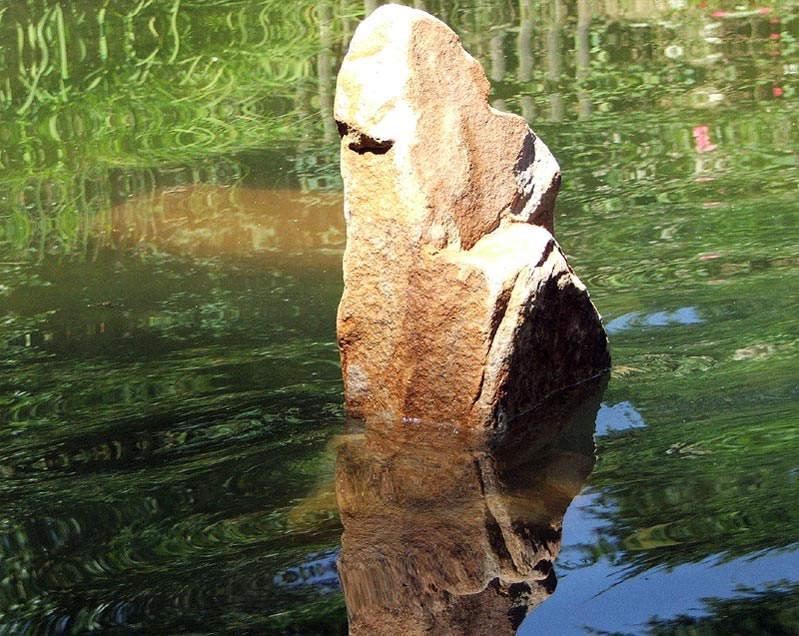 Ein Fels im Teich