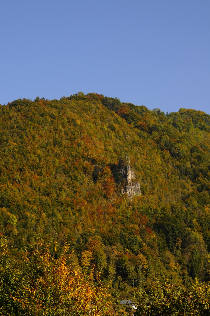 Ein Fels in der Waldung