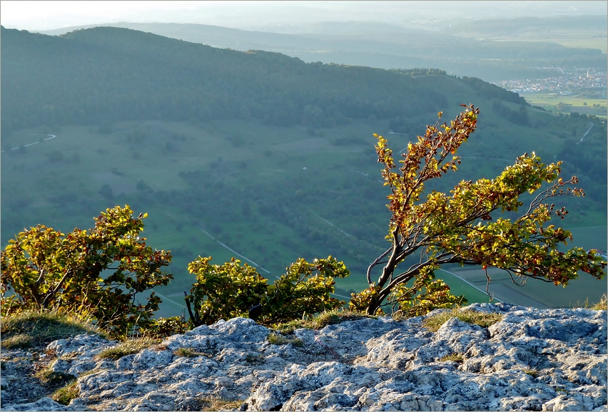 Ein Fels mit Ausblick