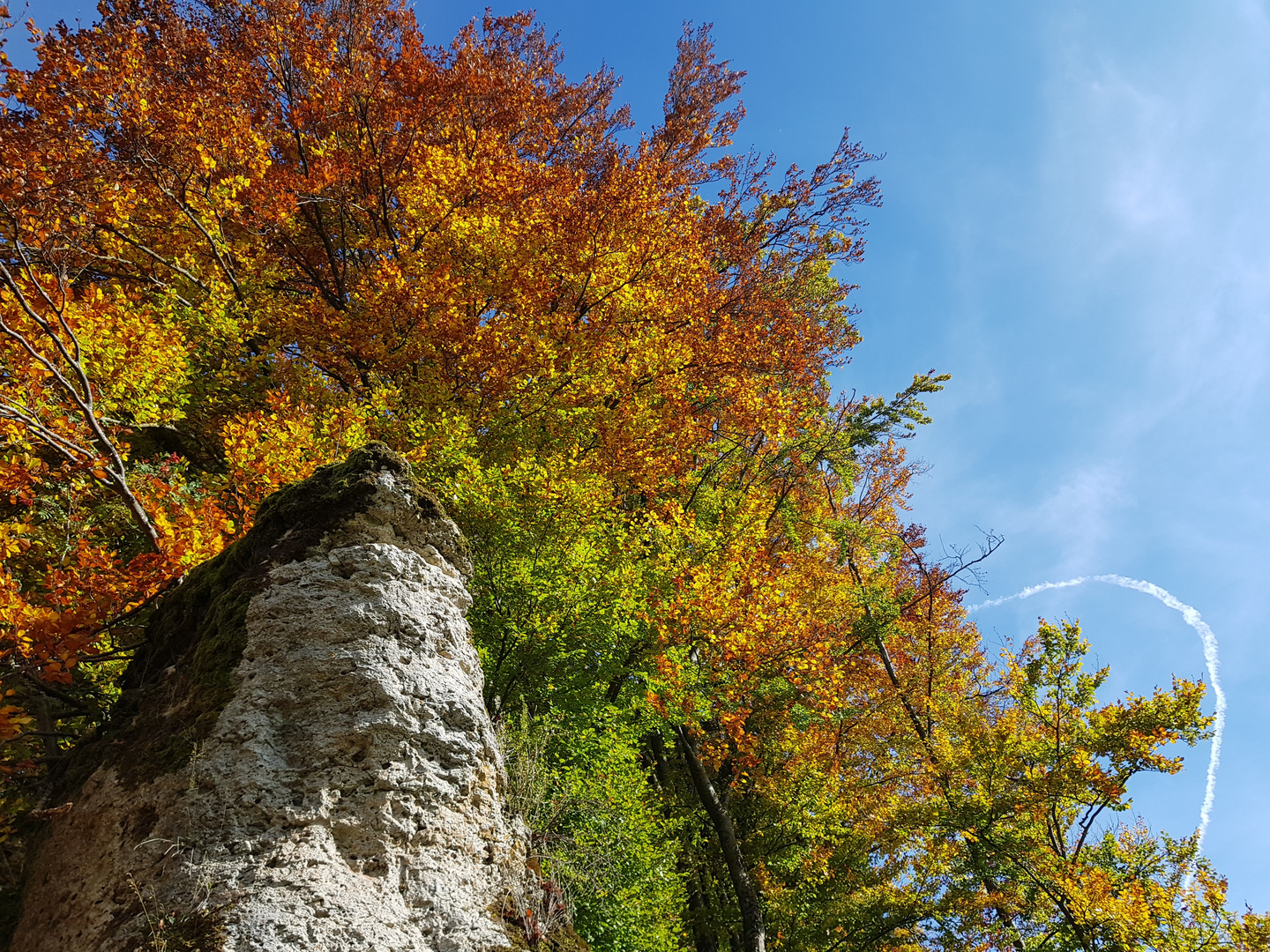 Ein Felsen lebt...