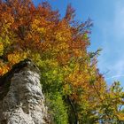 Ein Felsen lebt...