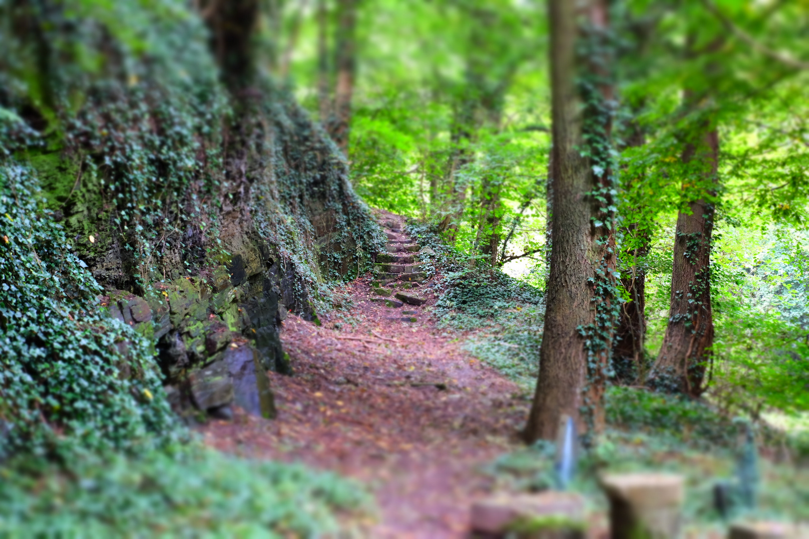 Ein Felsentreppe im Wald