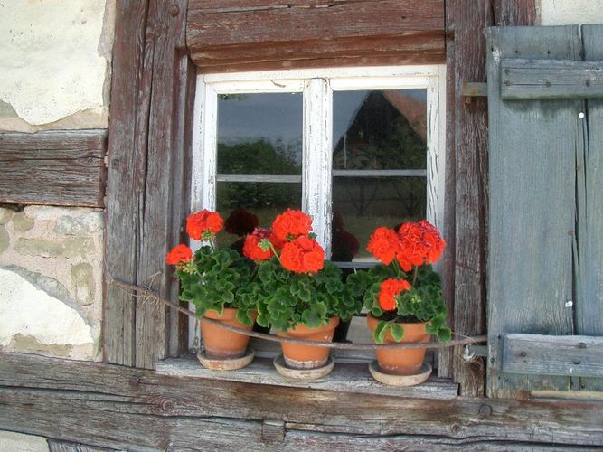 Ein Fenster - Freilandmuseum Windsheim