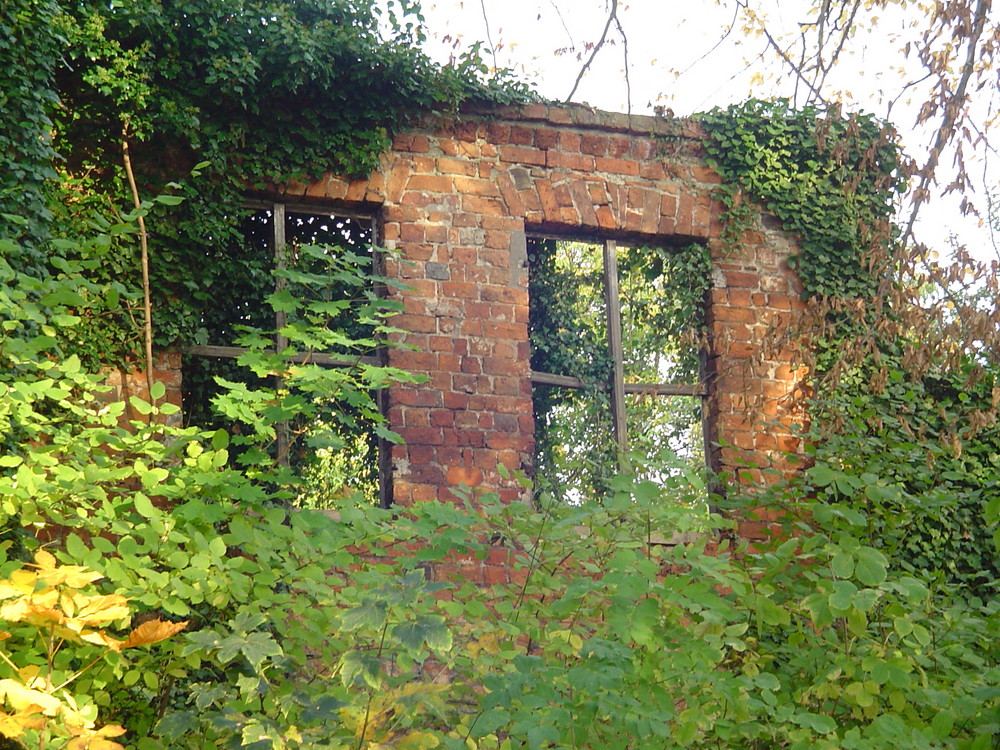 Ein Fenster im Herbst