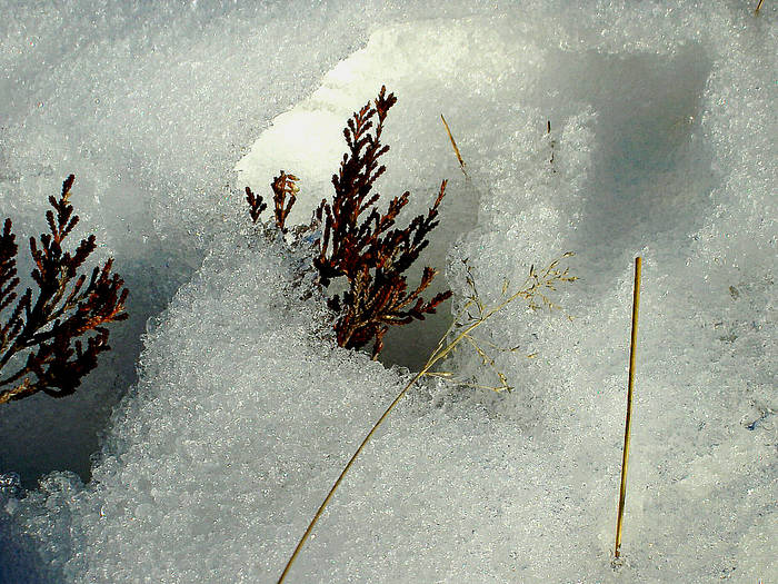 Ein Fenster im Schnee