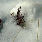 Ein Fenster im Schnee