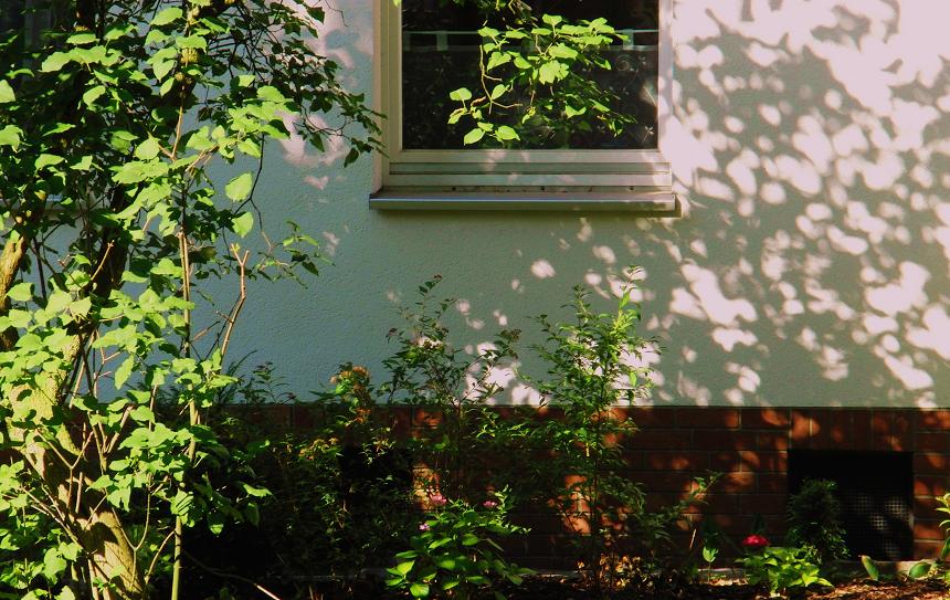 Ein Fenster irgendwo.