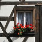 Ein Fenster mit Gesicht