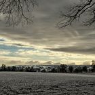 Ein Fenster zum Himmel ...