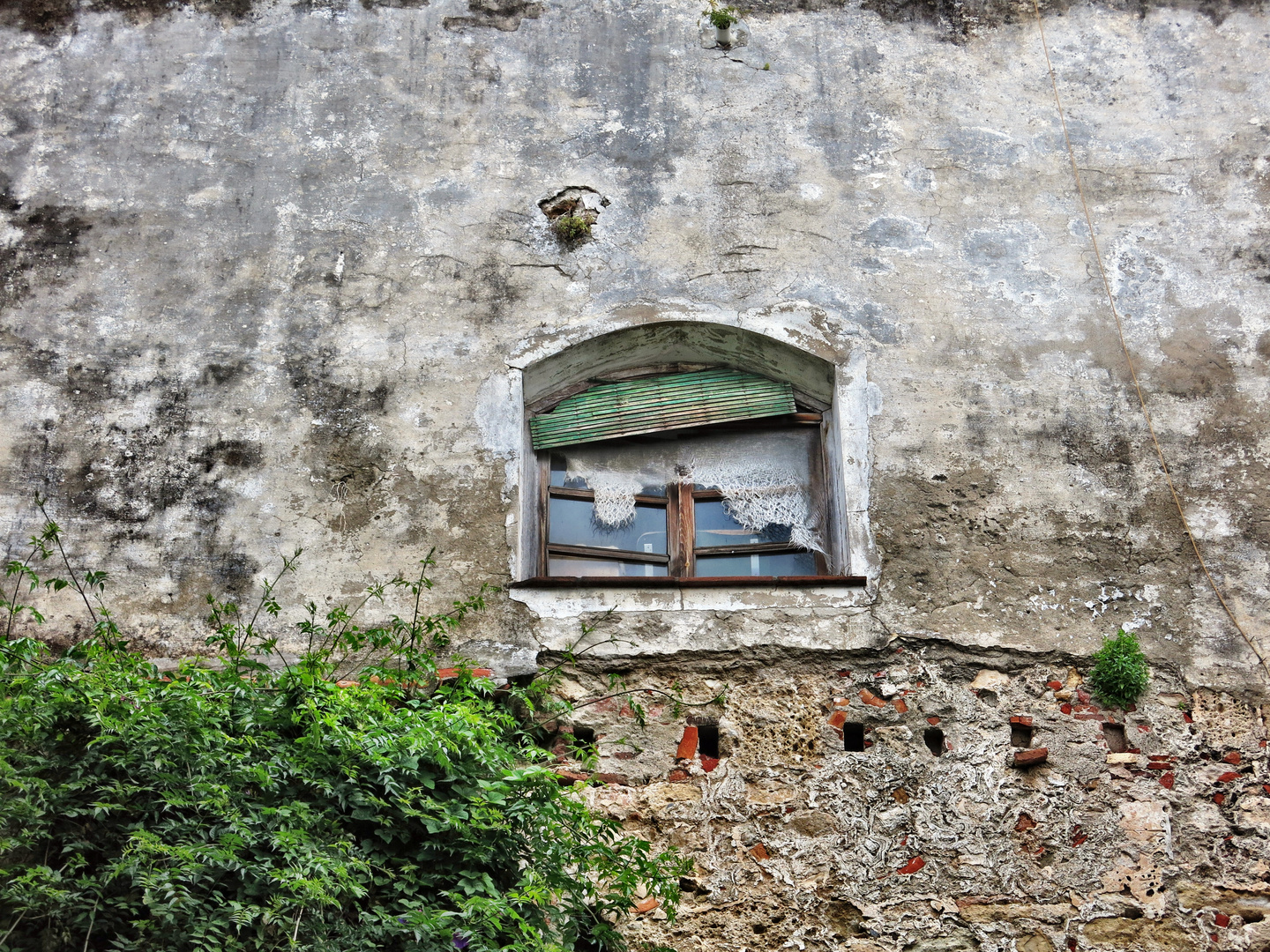 Ein Fenster zum Hof