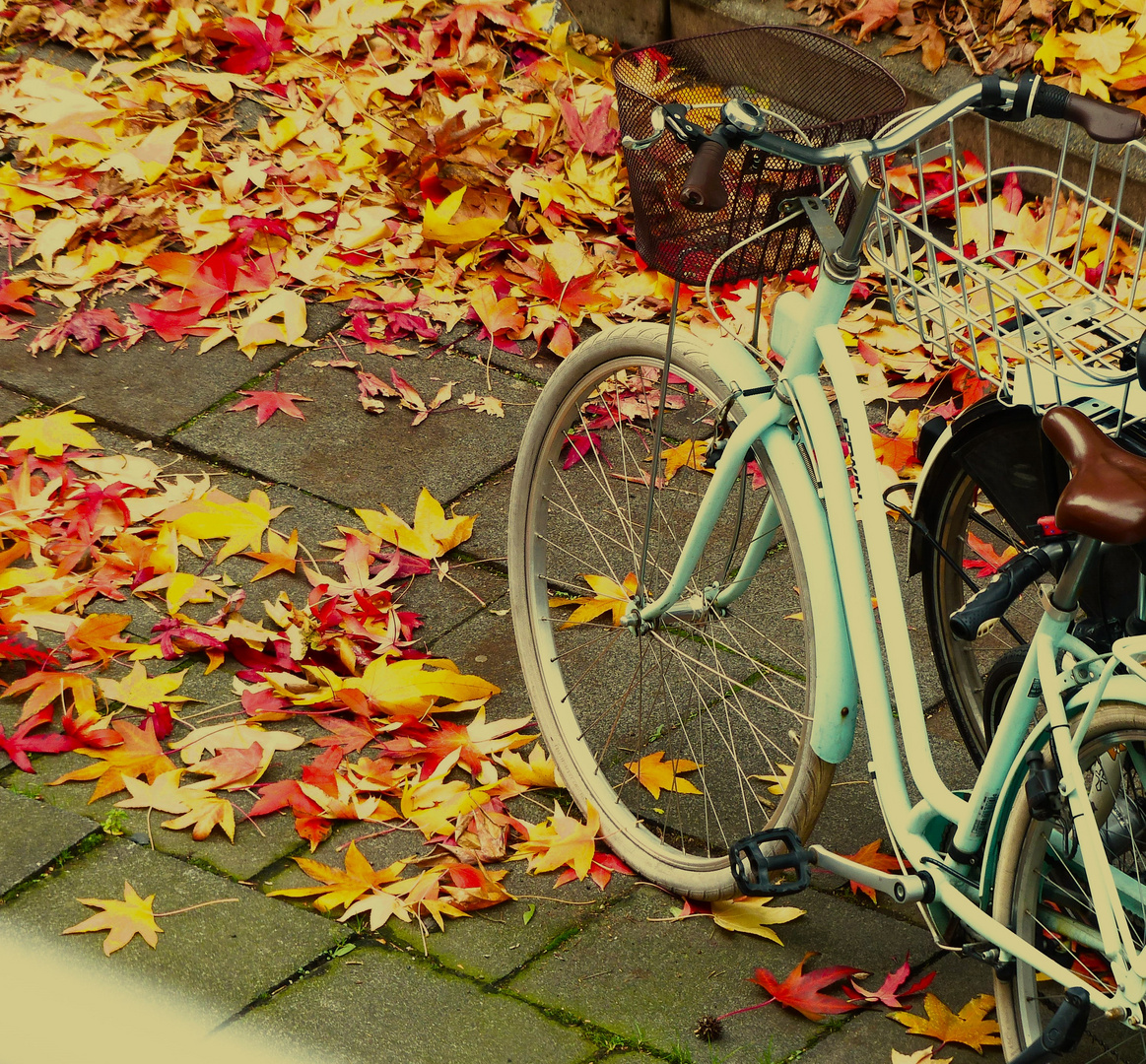 Ein Fensterfoto - Fahrrad in farbigen Herbstlaub
