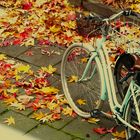 Ein Fensterfoto - Fahrrad in farbigen Herbstlaub