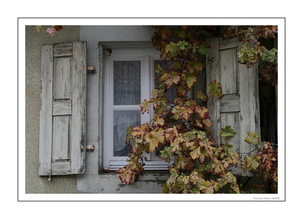 ein Fensterladen