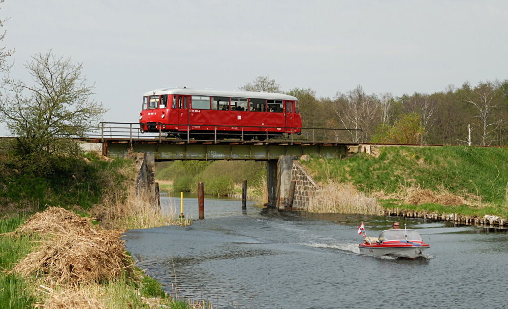 ein Ferkeltaxi am Kammerkanal