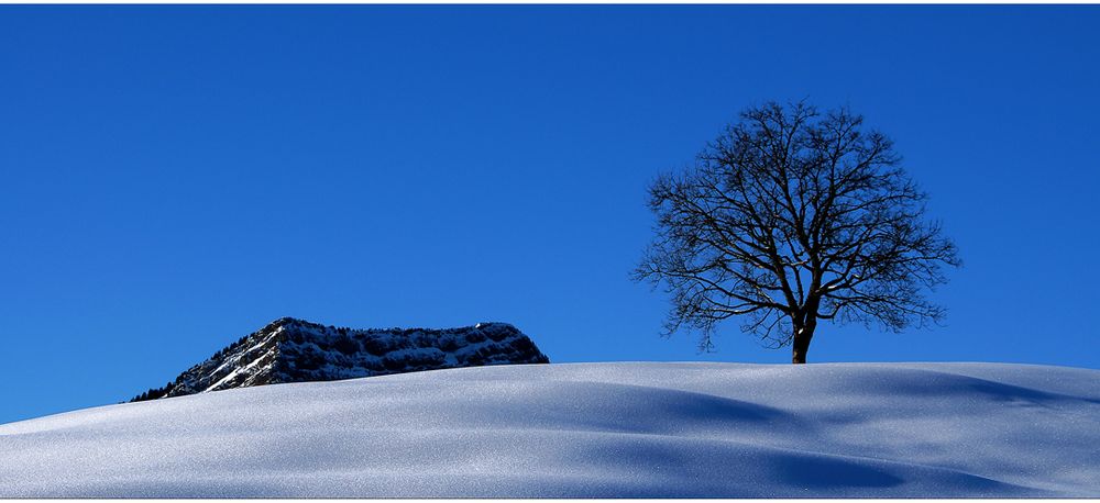 Ein Fest für die Sinne Foto & Bild  europe, schweiz & liechtenstein 