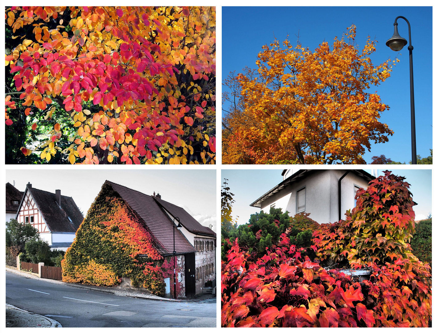 Ein Festival der Farben