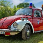 Ein feuriger Käfer!