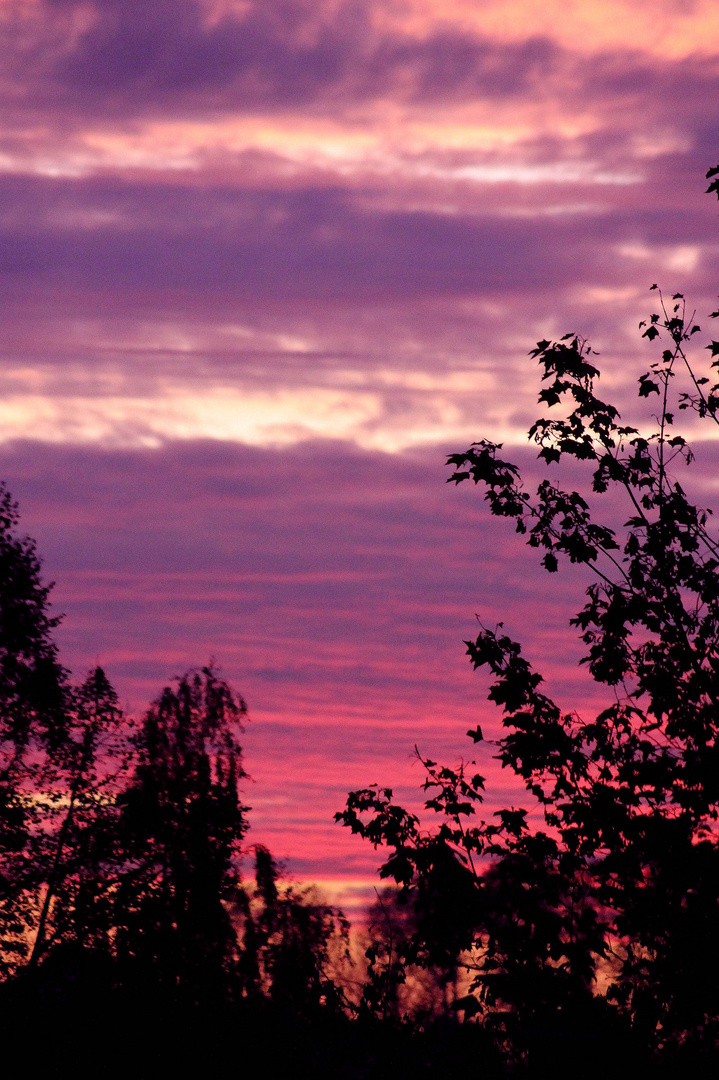 Ein Feuriger Sonnenuntergang