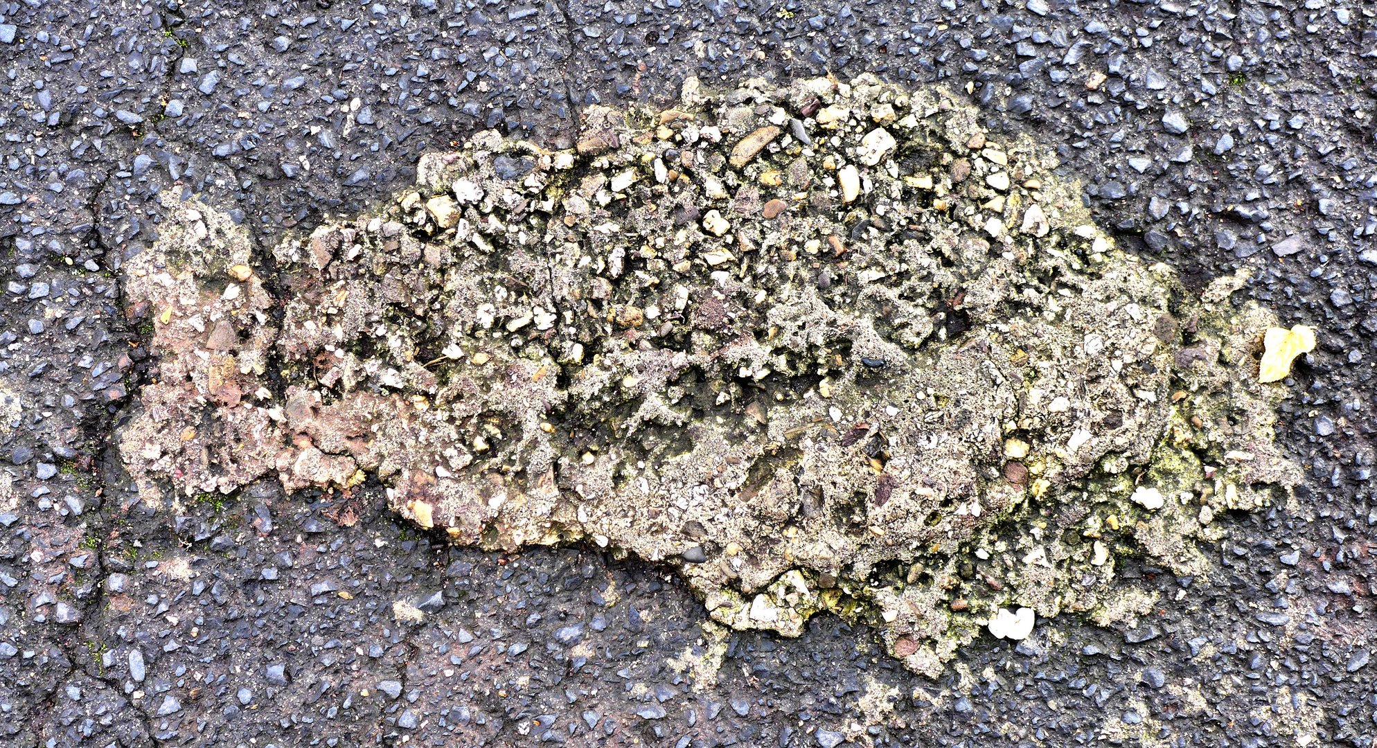 Ein Fisch im Asphalt