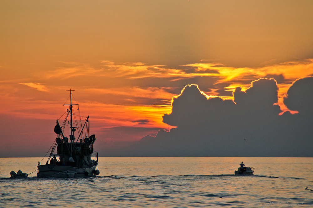 ein Fischerboot fährt in den Sonnenuntergang bei Rovinj