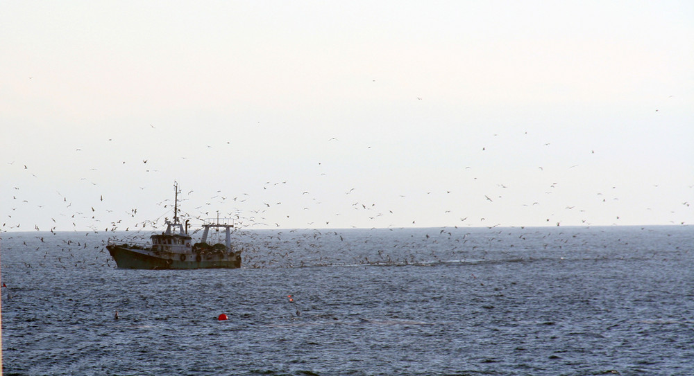 Ein Fischerboot in Nazzare