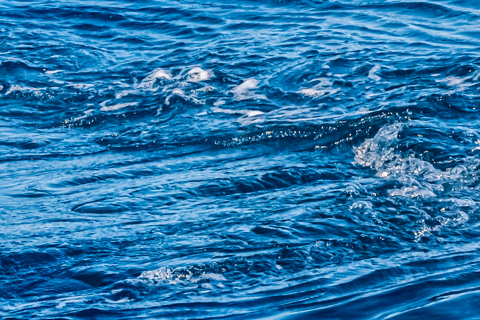 Ein Fischschwarm rollt direkt unter der Wasseroberfläche