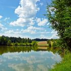 ein Fischteich im Waldviertel