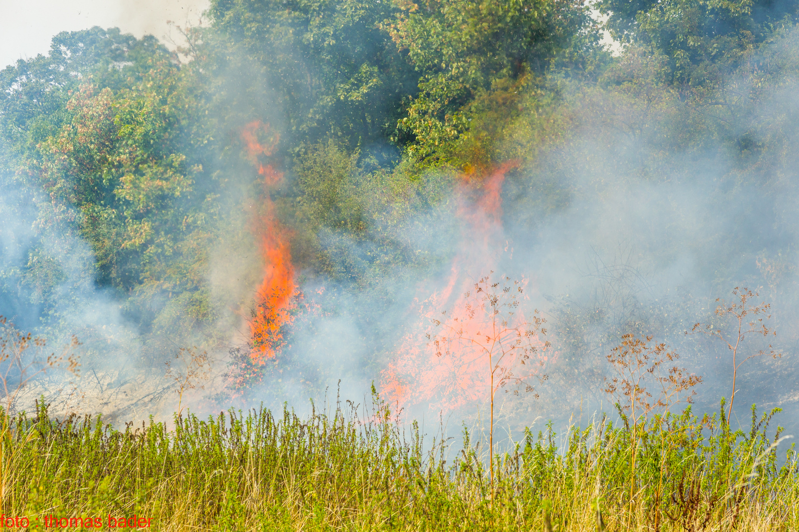 Ein Flächenbrand ...