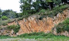 ~~~ Ein *flächenhaftes Naturdenkmal* ~~~