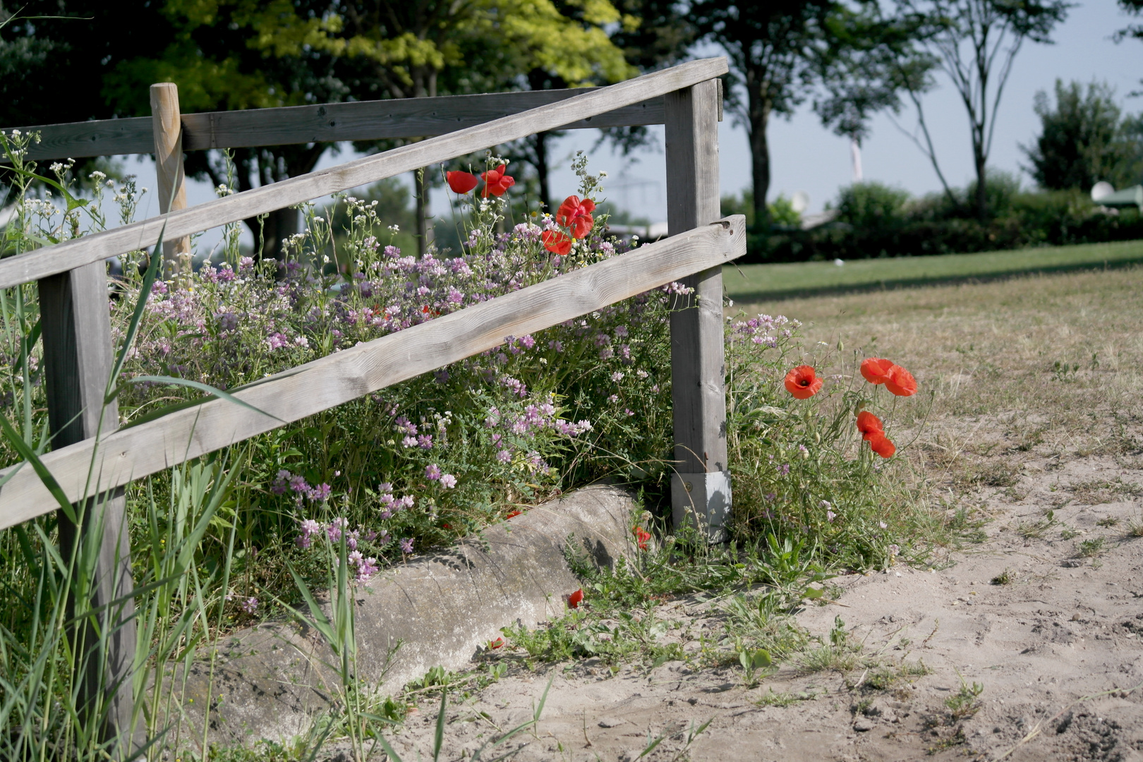 ein Fleckchen Natur