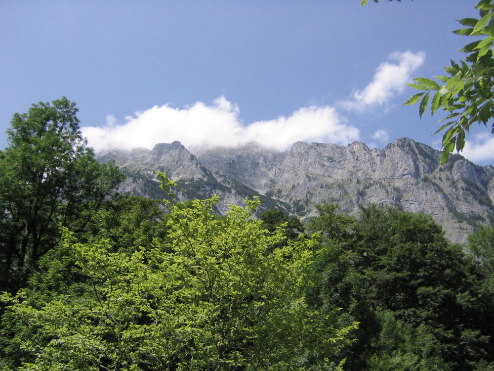 Ein Fleckchen unberührte Natur...