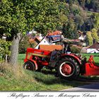 Ein fleißiger Bauer in Metzingen-Glems