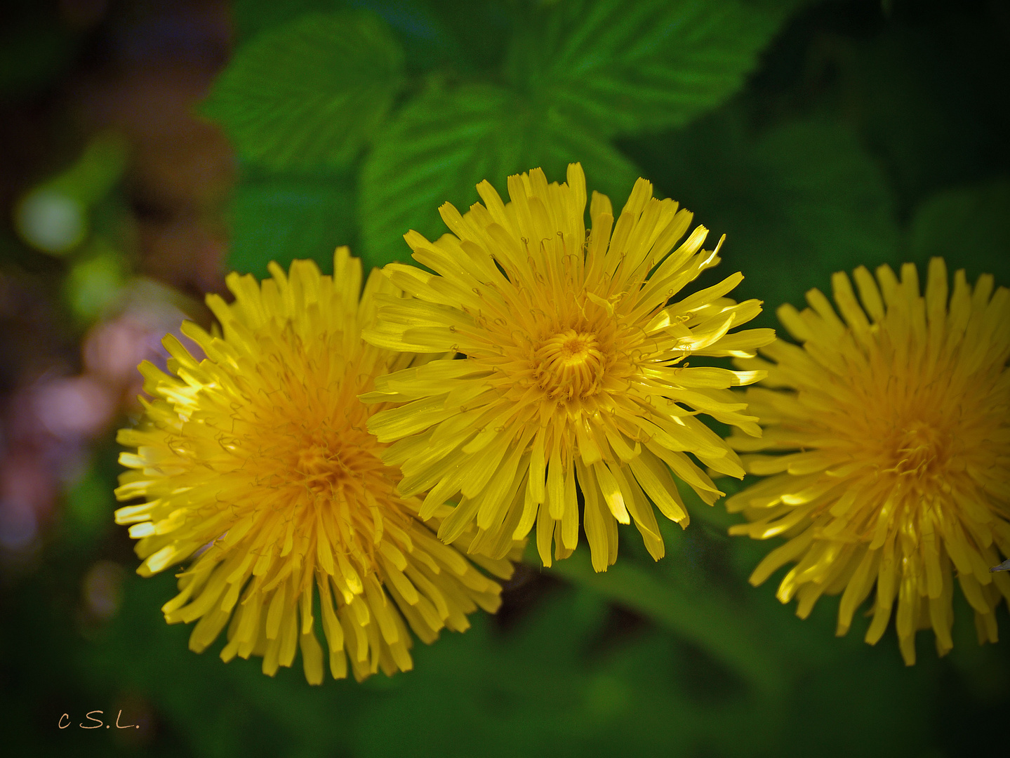 Ein flotter Dreier.....