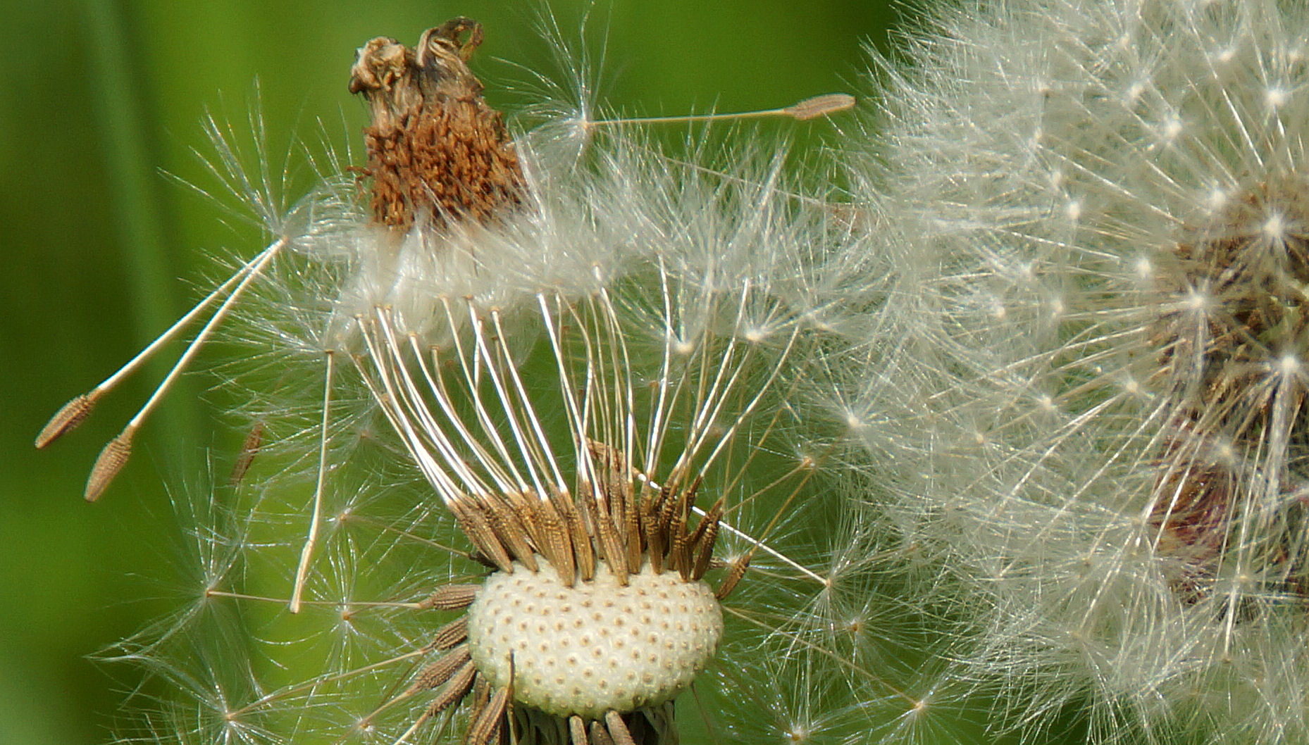 ein "flüchtiger" Gruss