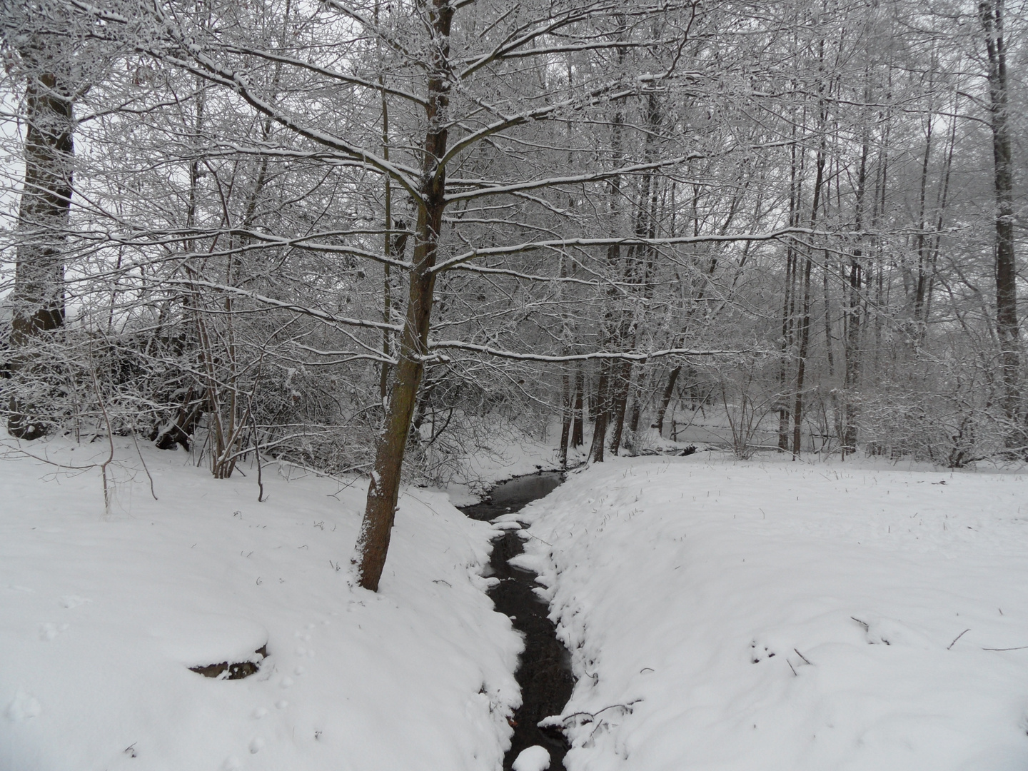 Ein Flüßchen im Park