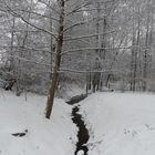 Ein Flüßchen im Park