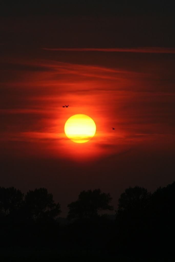 Ein Flug durch die Sonne