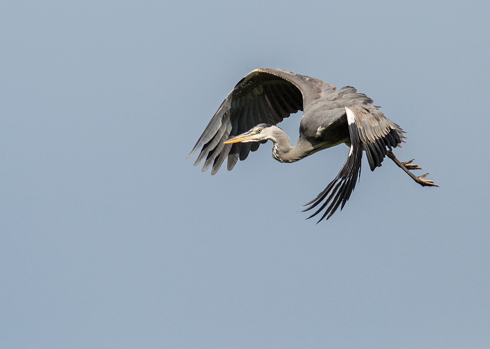 Ein Flug kühlt ab