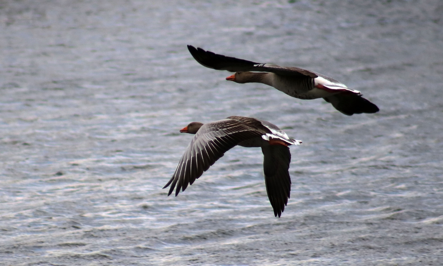 Ein Flug über den See