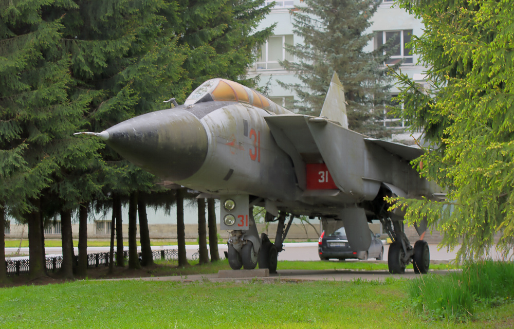 Ein Flugzeug steht im Walde, ganz still und stumm