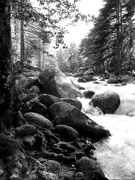 Ein Fluss auf Korsika 