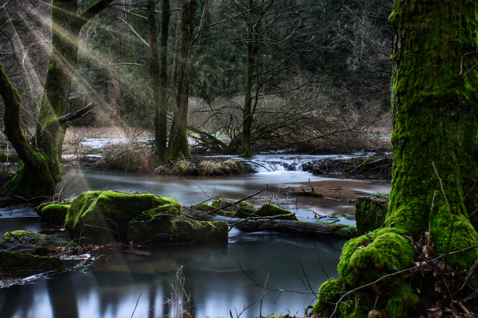 Ein Fluss im Wald