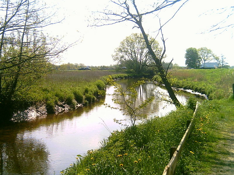 Ein Flusslauf bei Horneburg