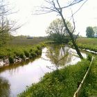 Ein Flusslauf bei Horneburg