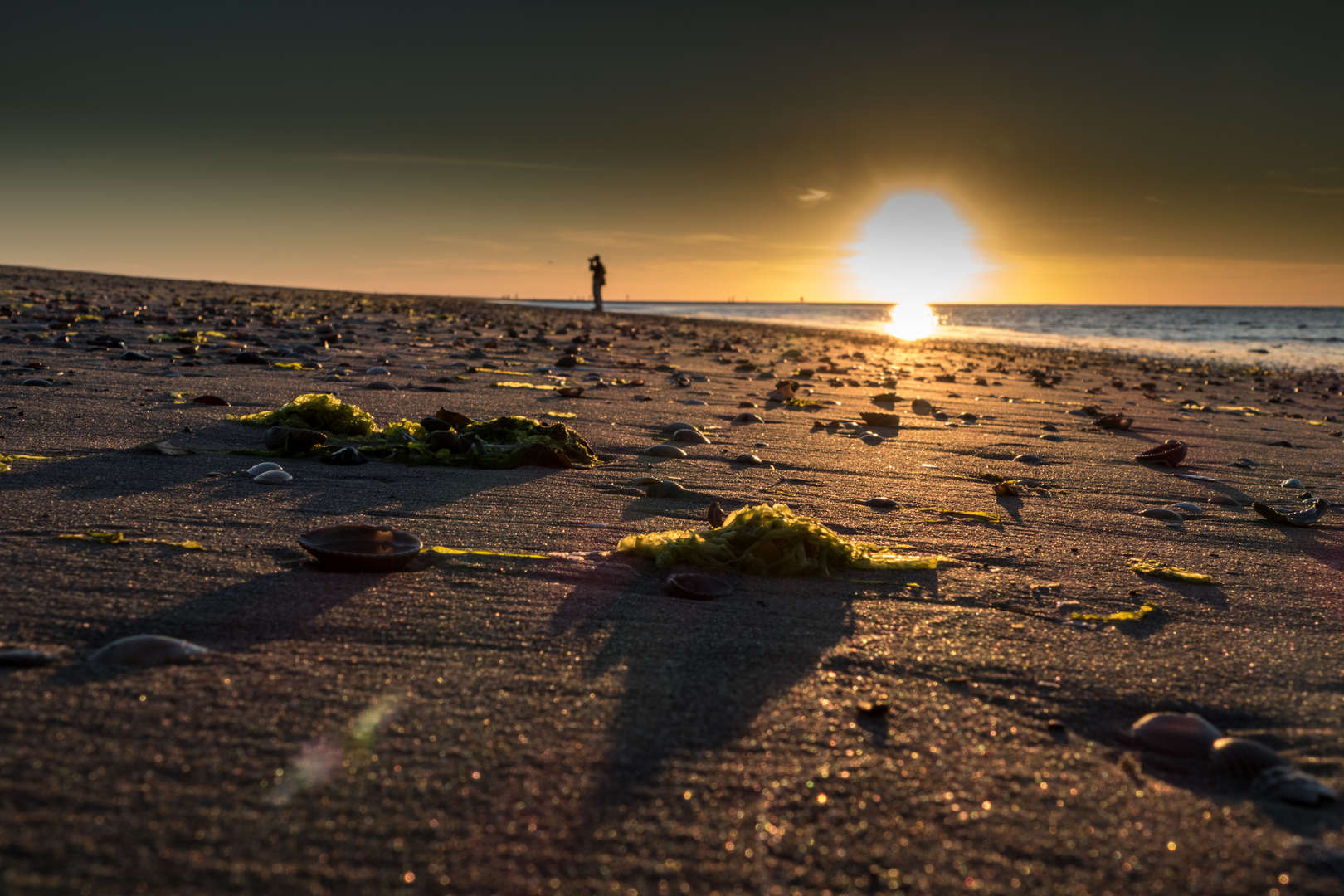 Ein Foto am Strand machen