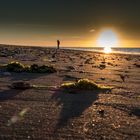 Ein Foto am Strand machen