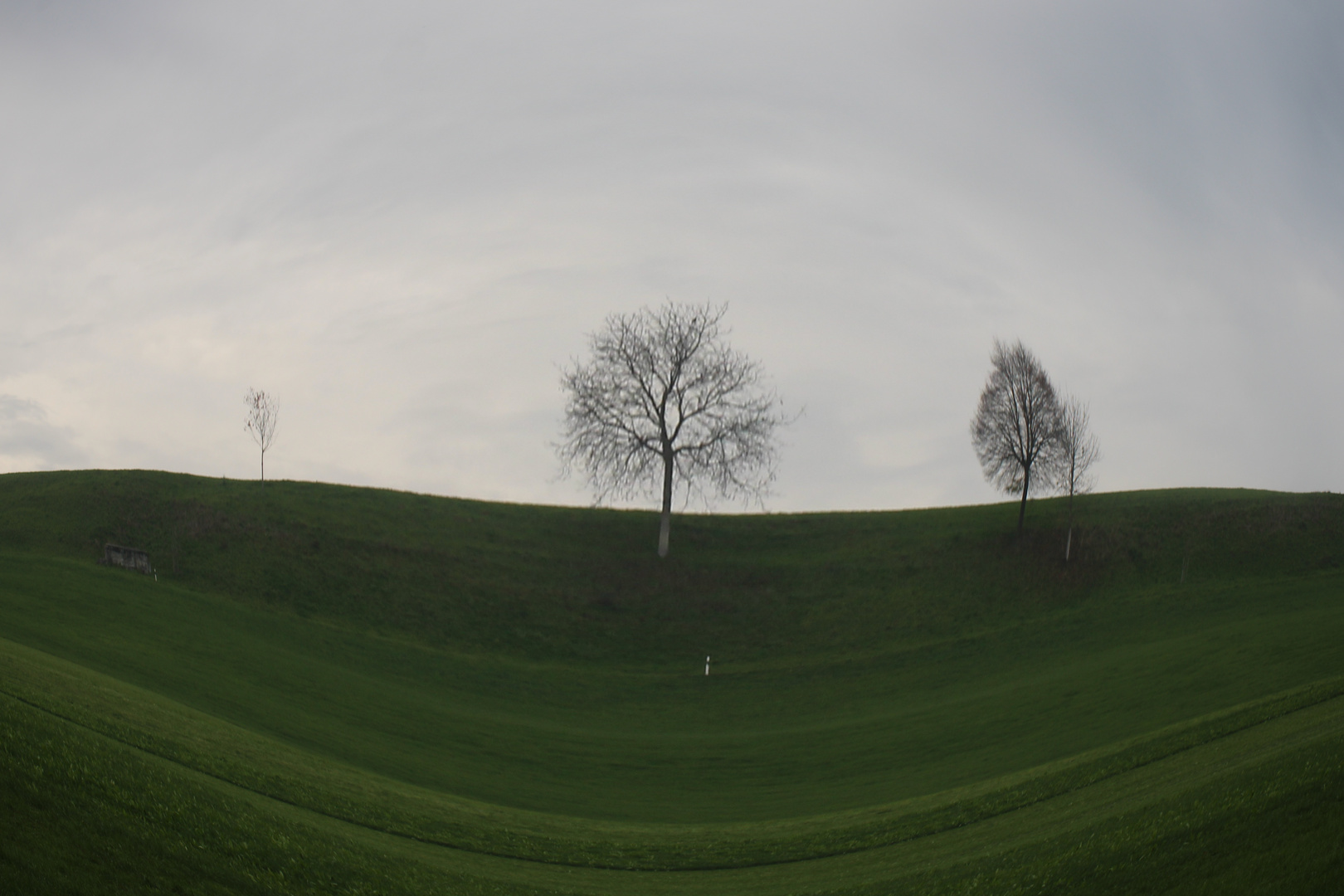 Ein Foto aus der Natur mit Fisheye Einstellung.