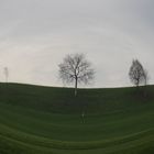 Ein Foto aus der Natur mit Fisheye Einstellung.