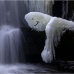 Ein Fotograf am Wasserfall